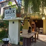 Salix By Mital * סגד